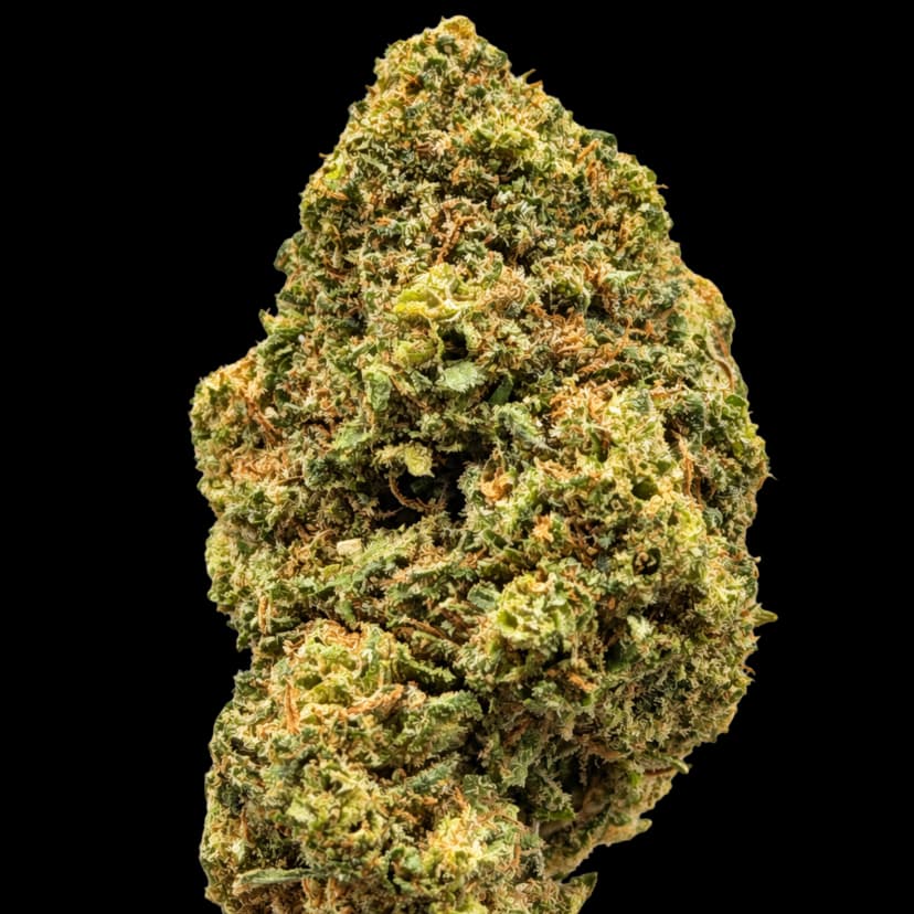 Tropical Berry