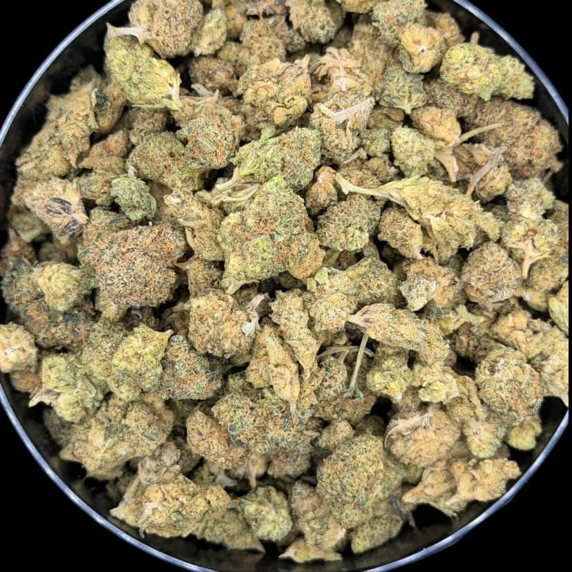 Small Buds Indoor