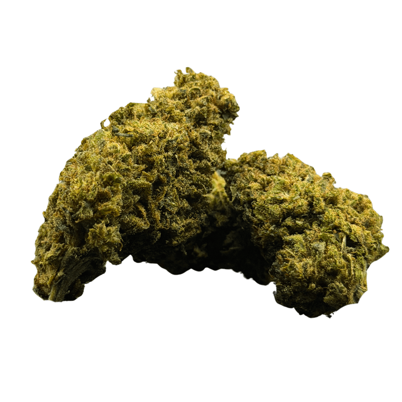 Gelato 