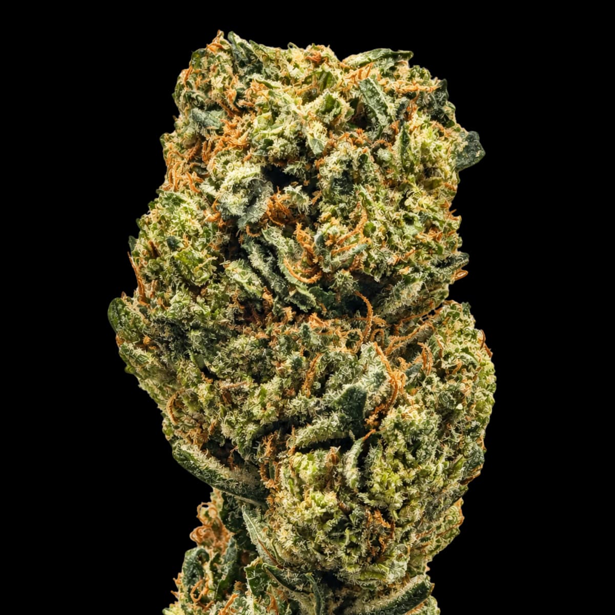 Berry Pie