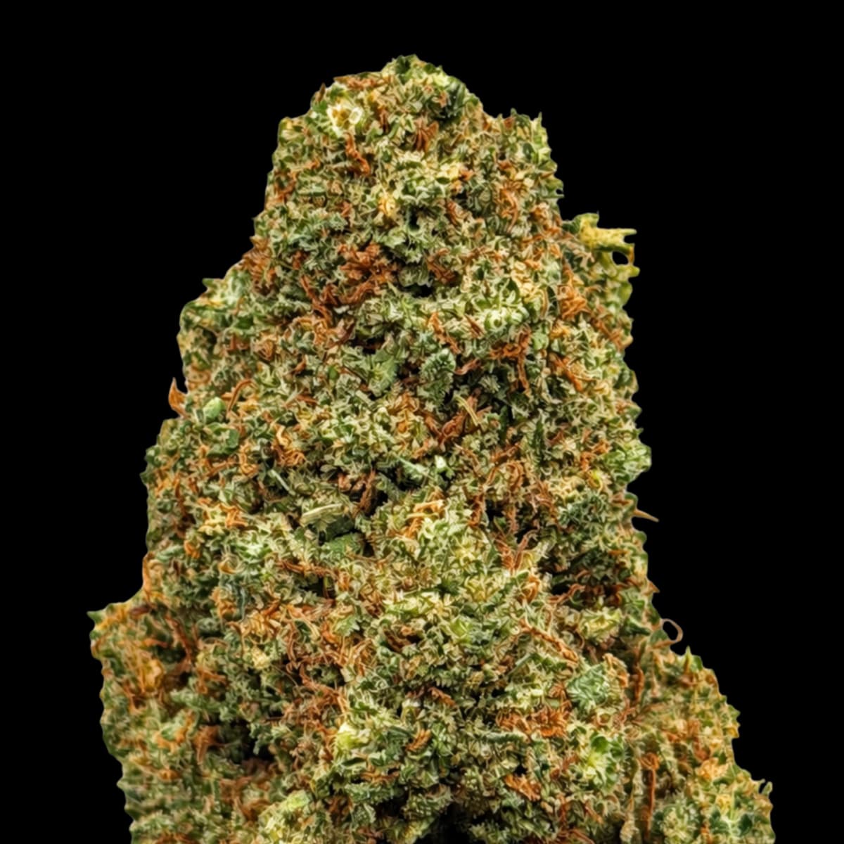 Cherry Haze
